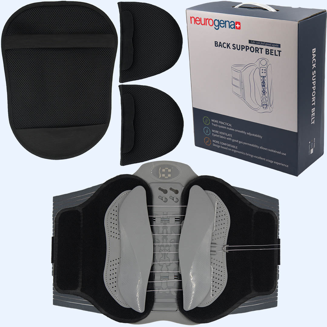Back Support Belt