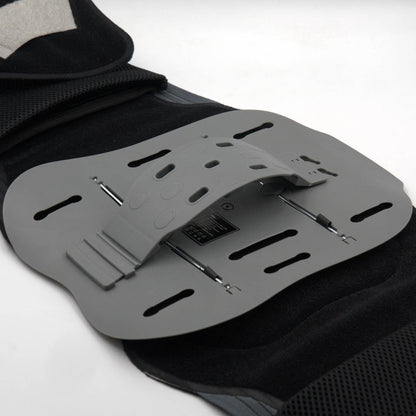 Back Support Belt
